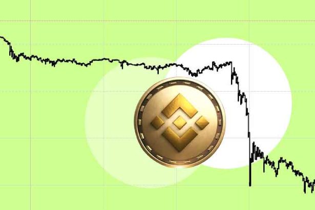 Binance's-Tragic-Fall-What's-Next-for-the-Crypto-Market
