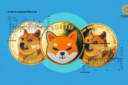 What-to-Know-About-SHIB's-Price-Amidst-the-Crypto-Crash (1)